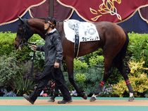 ����å��ǳ��������ɽ�����ޤ�