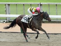 ����å��ǳ��������ɽ�����ޤ�