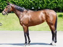 ����å��ǳ��������ɽ�����ޤ�