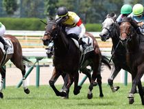 ����å��ǳ��������ɽ�����ޤ�