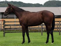 ����å��ǳ��������ɽ�����ޤ�