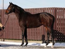 ����å��ǳ��������ɽ�����ޤ�