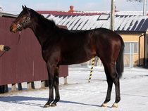 ����å��ǳ��������ɽ�����ޤ�