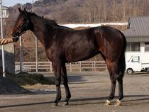 ����å��ǳ��������ɽ�����ޤ�