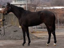 ����å��ǳ��������ɽ�����ޤ�