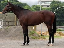 ����å��ǳ��������ɽ�����ޤ�