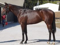 ����å��ǳ��������ɽ�����ޤ�