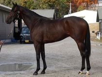 ����å��ǳ��������ɽ�����ޤ�