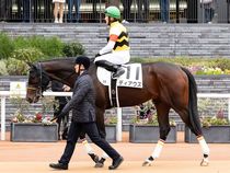 ����å��ǳ��������ɽ�����ޤ�