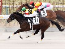 ����å��ǳ��������ɽ�����ޤ�