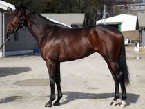 ����å��ǳ��������ɽ�����ޤ�