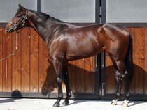 ����å��ǳ��������ɽ�����ޤ�