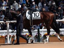 ����å��ǳ��������ɽ�����ޤ�