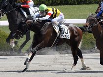 ����å��ǳ��������ɽ�����ޤ�