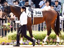 ����å��ǳ��������ɽ�����ޤ�