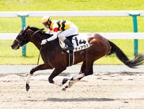 ����å��ǳ��������ɽ�����ޤ�