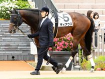 ����å��ǳ��������ɽ�����ޤ�