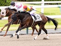 ����å��ǳ��������ɽ�����ޤ�