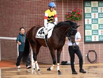 ����å��ǳ��������ɽ�����ޤ�