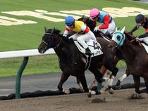 ����å��ǳ��������ɽ�����ޤ�