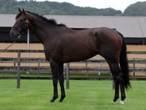 ����å��ǳ��������ɽ�����ޤ�