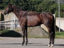 ����å��ǳ��������ɽ�����ޤ�