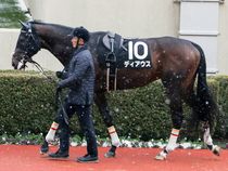 ����å��ǳ��������ɽ�����ޤ�