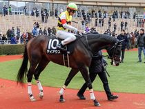 ����å��ǳ��������ɽ�����ޤ�