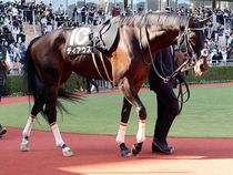 ����å��ǳ��������ɽ�����ޤ�