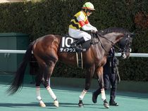 ����å��ǳ��������ɽ�����ޤ�