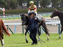 ����å��ǳ��������ɽ�����ޤ�