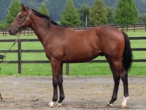 ����å��ǳ��������ɽ�����ޤ�