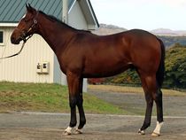 ����å��ǳ��������ɽ�����ޤ�