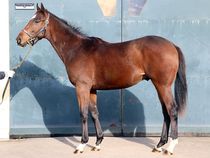 ����å��ǳ��������ɽ�����ޤ�