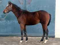 ����å��ǳ��������ɽ�����ޤ�