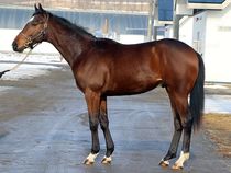 ����å��ǳ��������ɽ�����ޤ�