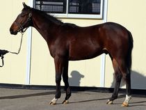 ����å��ǳ��������ɽ�����ޤ�