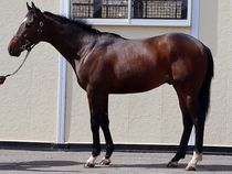 ����å��ǳ��������ɽ�����ޤ�