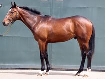 ����å��ǳ��������ɽ�����ޤ�