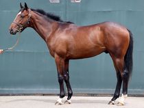 ����å��ǳ��������ɽ�����ޤ�