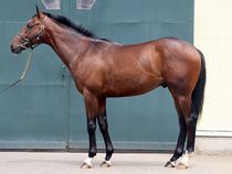 ����å��ǳ��������ɽ�����ޤ�