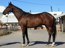 ����å��ǳ��������ɽ�����ޤ�