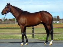 ����å��ǳ��������ɽ�����ޤ�