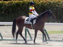 ����å��ǳ��������ɽ�����ޤ�