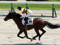 ����å��ǳ��������ɽ�����ޤ�