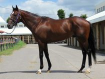 ����å��ǳ��������ɽ�����ޤ�