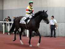 ����å��ǳ��������ɽ�����ޤ�