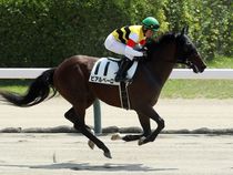 ����å��ǳ��������ɽ�����ޤ�