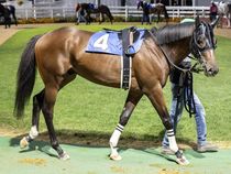 ����å��ǳ��������ɽ�����ޤ�