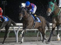 ����å��ǳ��������ɽ�����ޤ�